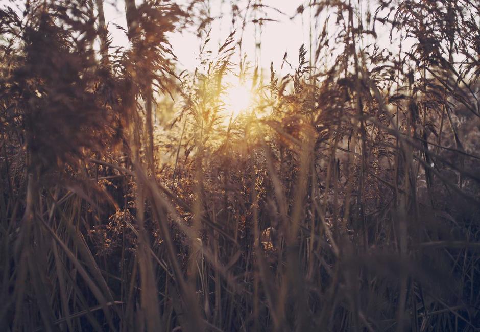 Zespół jelita drażliwego – objawy, dieta i leczenie IBS